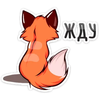 😐 ЖДУ лиса, ожидание, животное, милый, ожидание whatsapp sticker