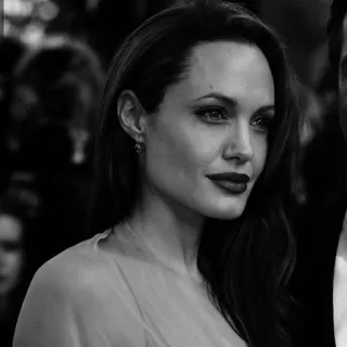 🗻 Angelina Jolie attrice, hollywood, celebrità, ritratto, donna telegram sticker