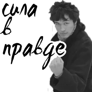 💪 сила в правде รัสเซีย, พลังแห่งความจริง, คำคม, วลี telegram sticker