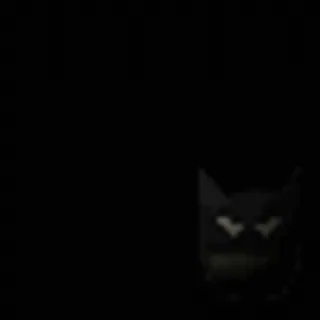 🦇