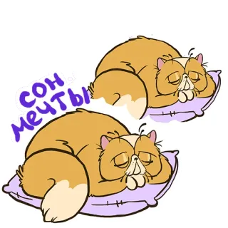 😍 сон мечты gatto, dormire, cuscino, gatto arancione, cartone animato, sogni telegram sticker