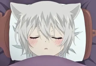 🦊 Tomoe Kamisama Kiss anime, fox, sleeping, bed, cute, manga, ears telegram sticker