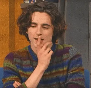📯 Timothée Chalamet timothée chalamet, acteur, célébrité, beau, homme telegram sticker