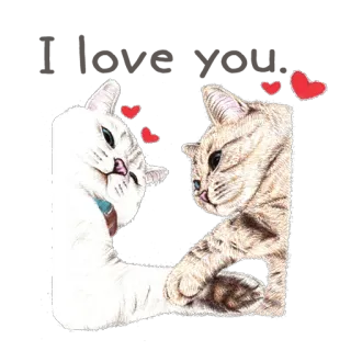 😻 고양이, 동물, 사랑, 하트, 귀여운, 애완동물 telegram sticker