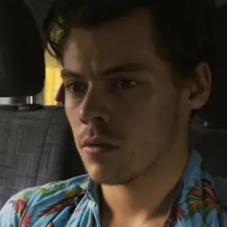 🌸 Harry Styles harry styles, chanteur, célébrité, pop star, musicien telegram sticker