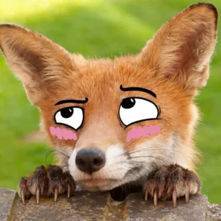 😳 raposa, animal, fofo, vida selvagem, mamífero, natureza telegram sticker