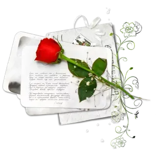 🌹 กุหลาบแดง, ดอกไม้, ความรัก, โรแมนติก, วันวาเลนไทน์, การ์ดอวยพร, ของขวัญ, โรแมนติก telegram sticker