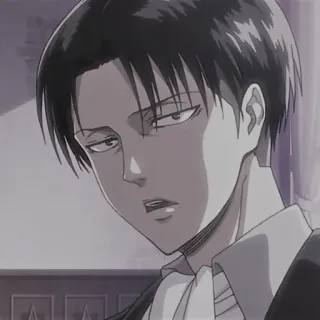 levi ackerman- @raneranevl telegram stickers