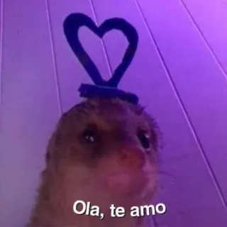 🥰 Ola, te amo animal, mignon, coeur, amour, salutation telegram sticker