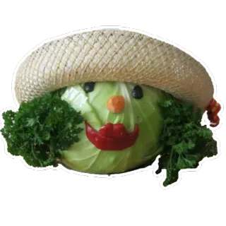 👩 cabbage, vegetable, food, hat, face, art, creative, diy telegram sticker