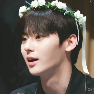 ☘ hombre, corona de flores, retrato, joven, coreano, masculino, guapo, persona telegram sticker