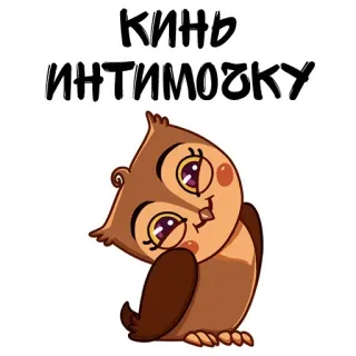 😉 кинь интимочку gufo, animale, uccello, carino, richiesta telegram sticker