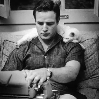 💸 Marlon Brando Марлон Брандо, кот, актер, винтаж, писатель, пишущая машинка telegram sticker