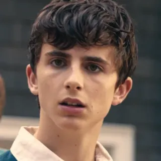😦 Timothée Chalamet актер, портрет, знаменитость, мужчина, лицо whatsapp sticker