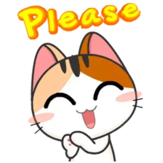 🙏 Please 猫, 可愛い, おねだり, リクエスト, 愛らしい telegram sticker