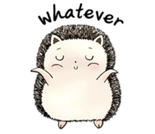 😌 Awake hérisson, mignon, animal, dessin animé telegram sticker