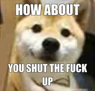 🔥 HOW ABOUT YOU SHUT THE FUCK UP dog, meme, shut up, offensive, animal telegram sticker