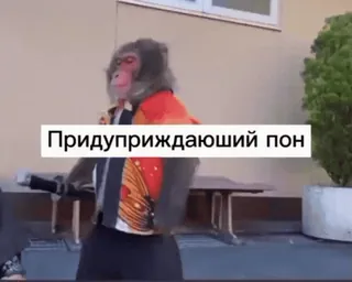 💫 Придуприждающий пон monyet, lucu, hewan, peringatan, rusia telegram sticker