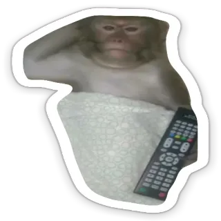 😐 scimmia, telecomando, animale, televisione, letto, carino telegram sticker