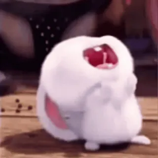 😂 bunny, rabbit, cute, animal, white, fluffy, cartoon telegram sticker