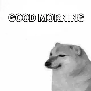 🙂 GOOD MORNING anjing, cheems, meme, selamat pagi, salam, hewan whatsapp sticker