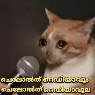 🥺 ചെലോൽത് റെഡിയാവും ചെലോൽത് റെഡിയാവൂല kat, verdrietig, microfoon, meme telegram sticker