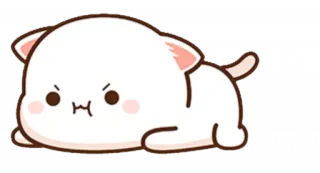 😒 chat, en colère, mignon, animal, autocollant whatsapp sticker