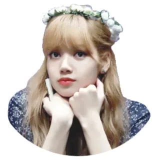 Lisa @Stickersey telegram stickers