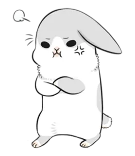 😊 conejo, enojado, lindo, pegatina, animal telegram sticker