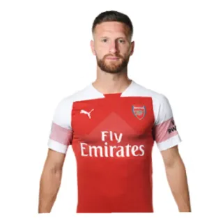 🇩🇪 soccer, football, sports, player, arsenal telegram sticker