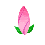 🌸