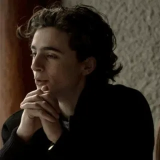 🐬 Timothée Chalamet, diễn viên, chân dung, người, người nổi tiếng telegram sticker