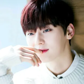 ☘ retrato, hombre, suéter, kpop, celebridad telegram sticker