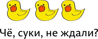 ❤ duck, rubber duck, yellow, animal, cartoon, bath toy telegram sticker