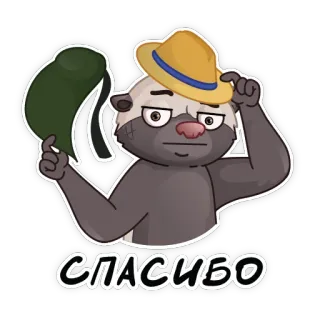 🤜 СПАСИБО sombrero, gracias, animal, mapache telegram sticker