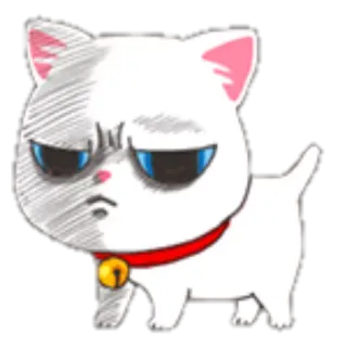 😒 chat, en colère, mignon, animal, chaton, animal de compagnie telegram sticker