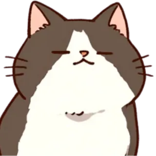 🤨 gatto, carino, cartone animato, animale, gatto domestico telegram sticker