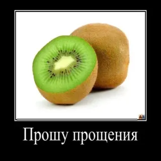 🥝 Прошу прощения Kiwi, Frutta, Cibo, Scusa, Russo, Perdono, Scusa telegram sticker
