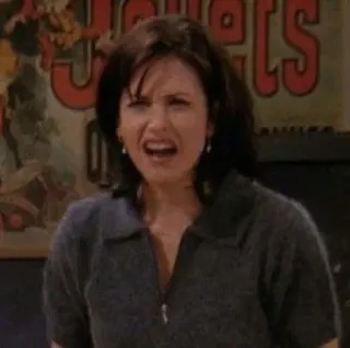 🐚 Monica Geller Friends femme, en colère, émission télé, énervé(e), expression faciale telegram sticker