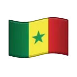 🇸🇳