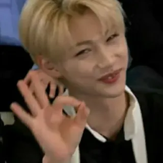 👌 Felix K-Pop Idol, Felix, Stray Kids, Okay Geste, K-Pop, Sänger, Musiker telegram sticker