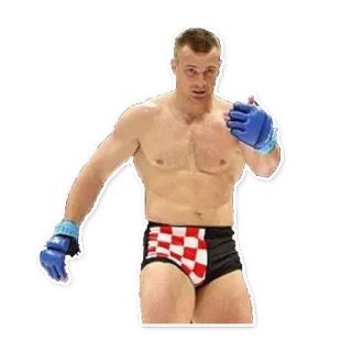 🐗 fighter, mma, sports, combat telegram sticker