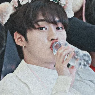 🥀 kpop, idol, bunga, air minum, potret, pria telegram sticker