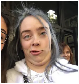 🥴 Billie Eilish 比莉·艾利什, 歌手, 名人, 流行明星, 音乐人 telegram sticker