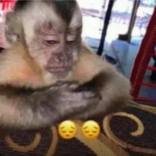 😔 monkey telegram sticker