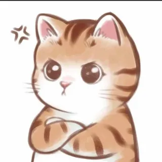🐱 chat, en colère, dessin animé, autocollant, félin, mignon telegram sticker