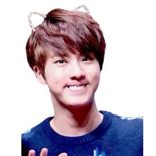 😬 Jin kpop, koreanisch, sänger, idol, süß, katzenohren, hübsch telegram sticker