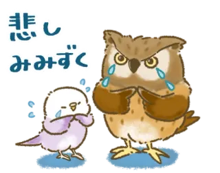🦜 悲しみみずく coruja, pássaro, chorando, triste, animal, kawaii telegram sticker