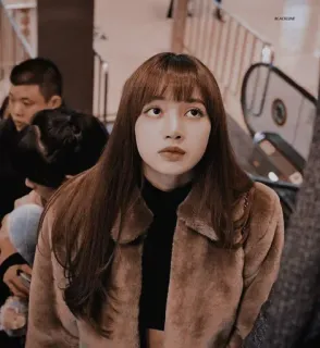 🥺 Lisa 女人, 女孩, 莉莎, 名人, 棕色头发, 夹克 telegram sticker