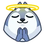 😇